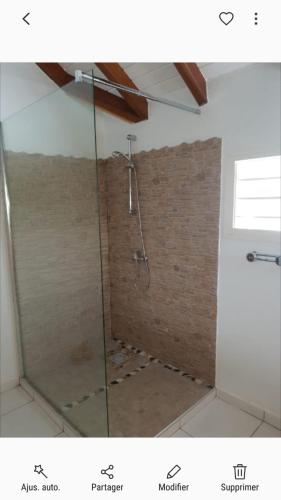 a shower with a glass door in a bathroom at Appartement charmant à Petit-Canal in Petit-Canal