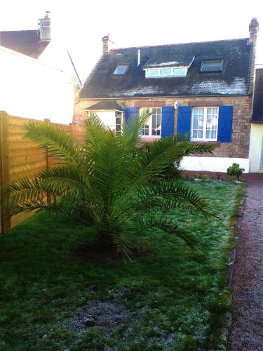 a palm tree in front of a house at Maison chaleureuse à Erquy avec jardin et parking in Erquy