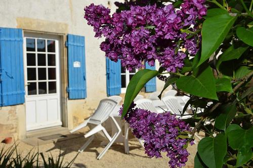 a bunch of purple flowers in front of a building at Maison de charme à Saint-Vincent-la-Châtre avec piscine partagée in Saint-Vincent-la-Châtre