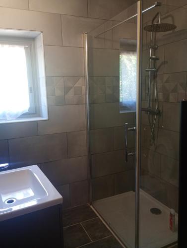 a bathroom with a shower and a sink at La maisonnette Poyaudine in Toucy