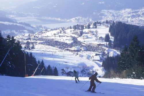 Studio convivial à Gérardmer, 35 m² avec vue sur la montagne