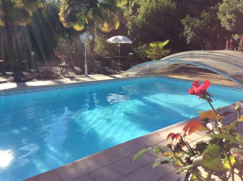 - une piscine dans une cour ornée de fleurs rouges dans l'établissement Le Lavoir, à Châteauroux