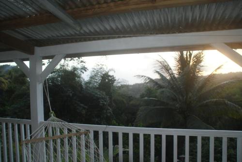 a porch with a hammock and a palm tree at Studio avec vue sur la mer à Fort-de-France 50 m² exceptionnel ! in Fort-de-France