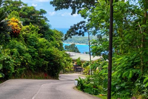 a road leading to a house with a view of the ocean at Charming house in Victoria with mountain view in Victoria