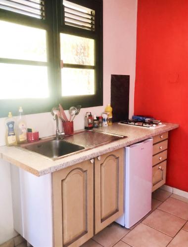 a kitchen with a sink and a window at Appartement charmant à Basse-Terre - 25 m² avec jardin in Basse-Terre