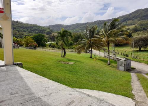 a grassy yard with palm trees and a hill at Appartement spacieux au Vauclin de 150 m² avec vue montagne in Le Vauclin