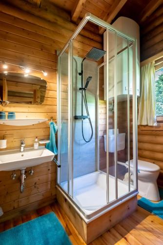 a bathroom with a shower and a sink at Ropferhof in Buchen