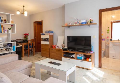 a living room with a couch and a tv at Comfortable Apartment in Almuñécar in Almuñécar