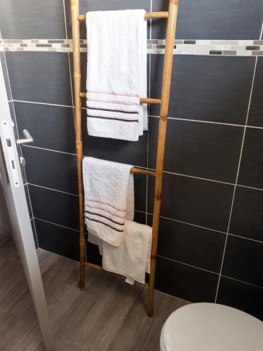 a bathroom with a towel rack next to a toilet at Villa charmante au Moule avec piscine in Le Moule