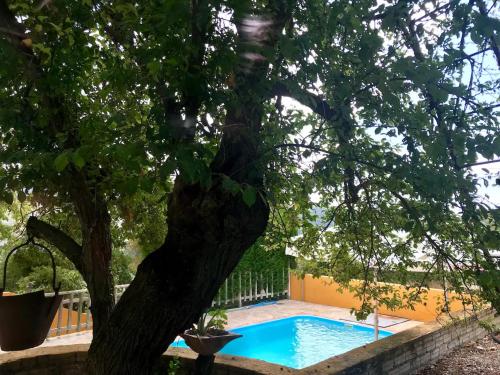 a tree and a swimming pool in a yard at Elegant Villa in El Saucejo with Private Pool in Saucejo