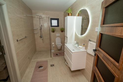 a bathroom with a toilet and a shower and a sink at Amon Private Pool Residence in Podgorica