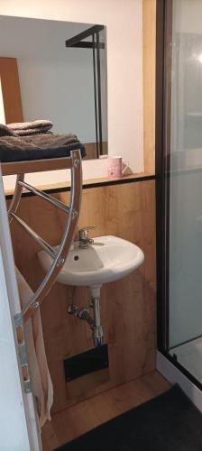 a bathroom with a white sink and a mirror at Zimmer zum Viadukt in Neulengbach