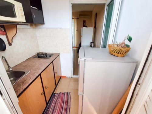 a small kitchen with a refrigerator and a sink at Charming Apartment in Pamplemousses, 30 m² with Garden View in Pamplemousses Village