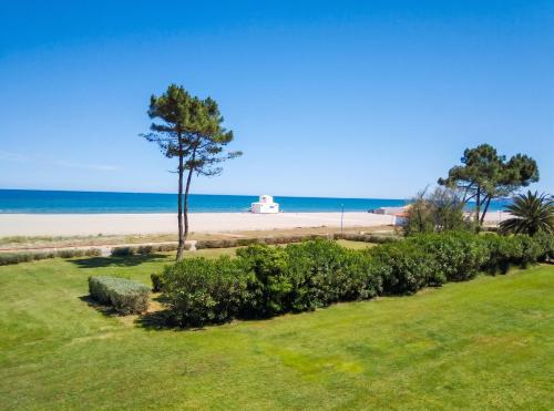 a view of a beach with a palm tree and the ocean at Appartement lumineux à Saint-Cyprien 45 m² vue mer in Saint-Cyprien