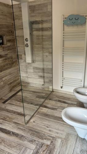 a bathroom with a shower and a toilet at Mountain Bloom House in Galda de Sus