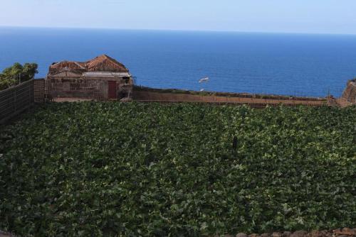 a house on a hill with the ocean in the background at Cosy chalet with panoramic views in Icod de los Vinos - 70m² in Icod de los Vinos