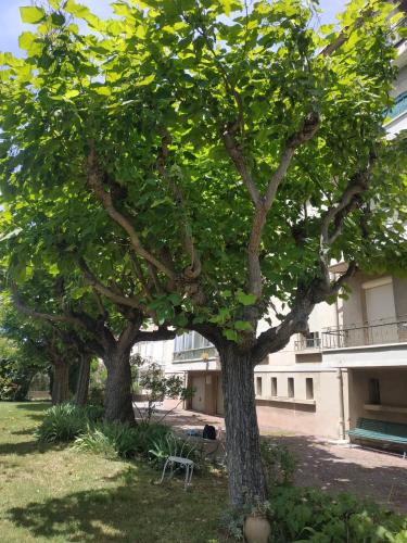 T3 cosy & lumineux - Avignon - 700 m des remparts