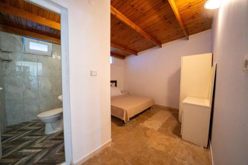 a small bathroom with a toilet and a shower at Olympos Donkisot Pansiyon in Antalya