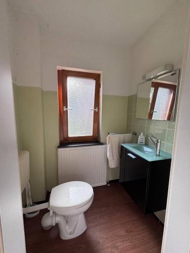 a bathroom with a toilet and a sink and a mirror at Tischlerei in Barum