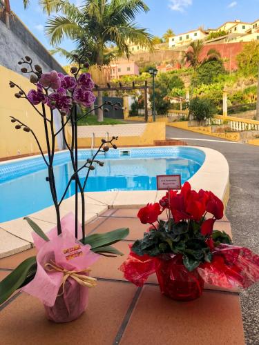 Pleasant Apartment with Private Pool in Lombo Do Doutor - 50 m²