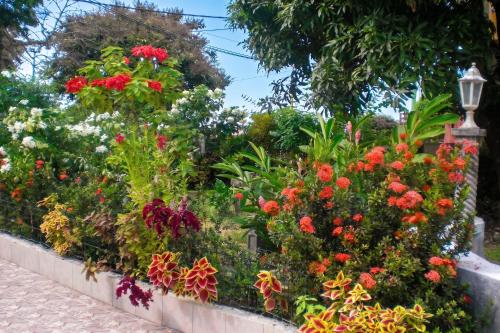 a garden with colorful flowers and a street light at Appartement de charme à Port-Louis, 35 m², jardin privé in Port-Louis