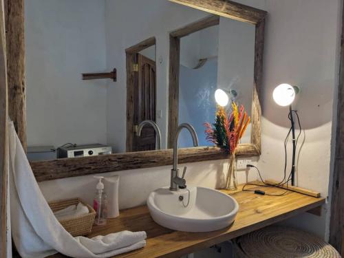 a bathroom with a sink and a mirror at Giraffe Gallery Home in Arusha
