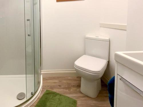 a bathroom with a toilet and a glass shower at Chapel Cottage in Askham