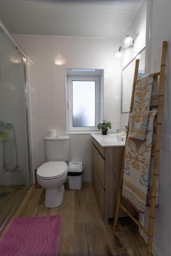 a bathroom with a toilet and a sink and a window at Courtyard T0 Studio Farmhouse in Idanha-a-Nova