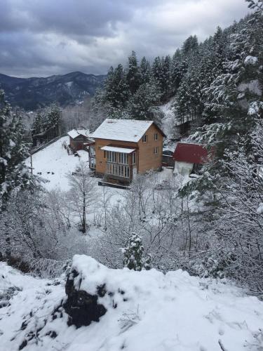 a house on a hill with snow on the ground at Spacious and Charming House in Vozuća with Large Garden in Vozuća