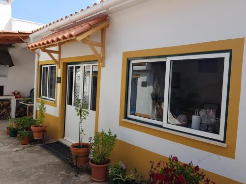 a house with windows and potted plants on it at Charming House Santarém + Pool in Santarém