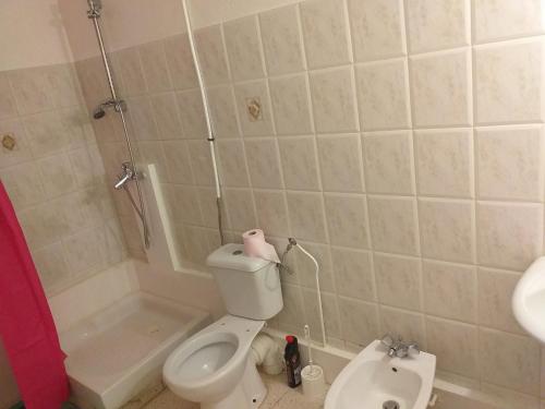 a bathroom with a toilet and a shower and a sink at Appartement charmant Morne-À-l'Eau in Morne-à-lʼEau