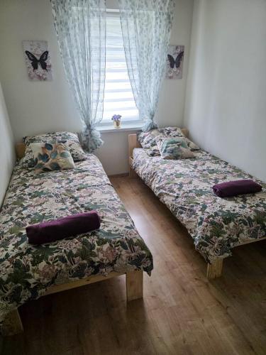 two beds sitting in a room with a window at dom na gwarnej in Osłonin