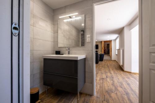 a bathroom with a sink and a mirror at Digitales en margeride in SAINT DENIS EN MARGERIDE