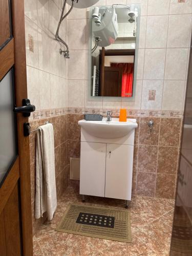 a bathroom with a sink and a mirror at Guest House Bed and Birding in Durankulak