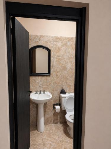 a bathroom with a sink and a toilet and a mirror at Talahuasto in Los Baldecitos
