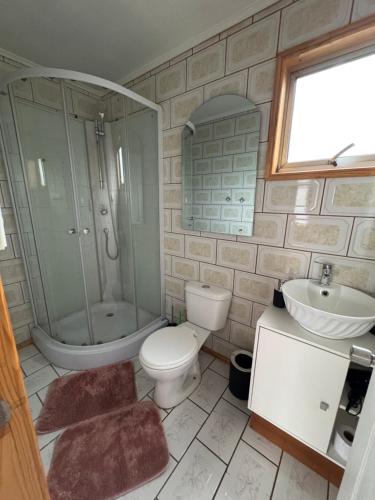 a bathroom with a toilet and a shower and a sink at Depto huerto 23 in Puerto Natales
