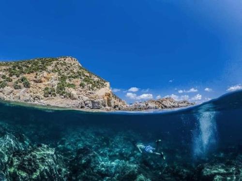 a person swimming in the ocean near an island at Vacances El Haouaria in El Haouaria