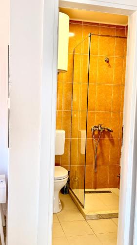 a bathroom with a shower and a toilet at Villa Guci in Ulcinj