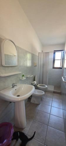 a bathroom with a sink and a toilet and a mirror at Sorres Agriturismo in Tanaunella