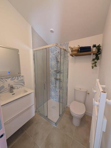 a bathroom with a shower and a toilet and a sink at Studio cozy 2pp wifi in La Sicaudais