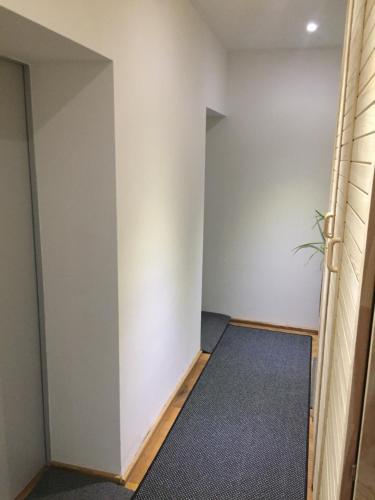an empty room with a white wall and a plant at P63 City Rooms Nürnberg Center in Nürnberg