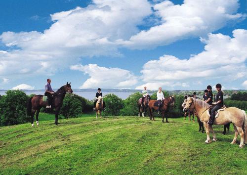 Gallery image of Ponyhof Naeve am Wittensee in Groß Wittensee