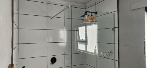a shower with a glass door with a window at Volgenoeg Self Catering Family Unit in Oudtshoorn