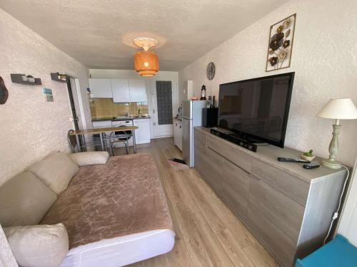 Appartement rénové vue mer, animaux - 4 pers.