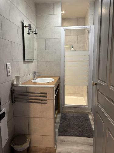 a bathroom with a sink and a shower at L'estaou in Lavoûte-Chilhac