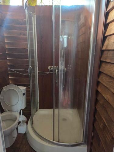 a shower stall in a bathroom with a toilet at Divoto Zove in Tsarevo