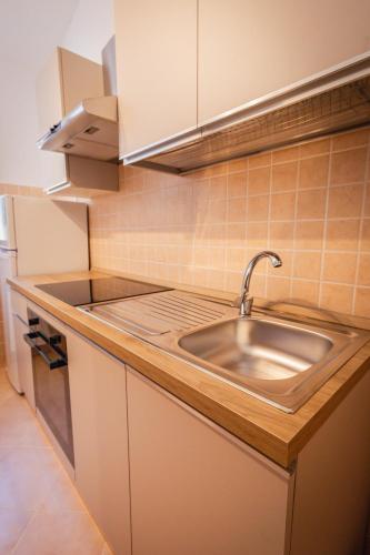 a kitchen with a sink and a refrigerator at Amandelia in Fardella
