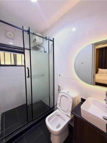 a bathroom with a toilet and a sink and a mirror at De Lexury Homes in Otinshi