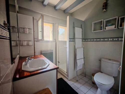 a bathroom with a toilet and a sink at Le Pène de Béon in Aste-Béon