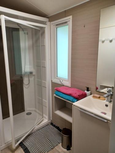 a bathroom with a shower and a sink at Mobil home Vegas in Blangy-le-Château